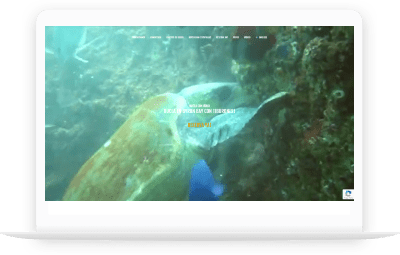 Diving Byron Bay